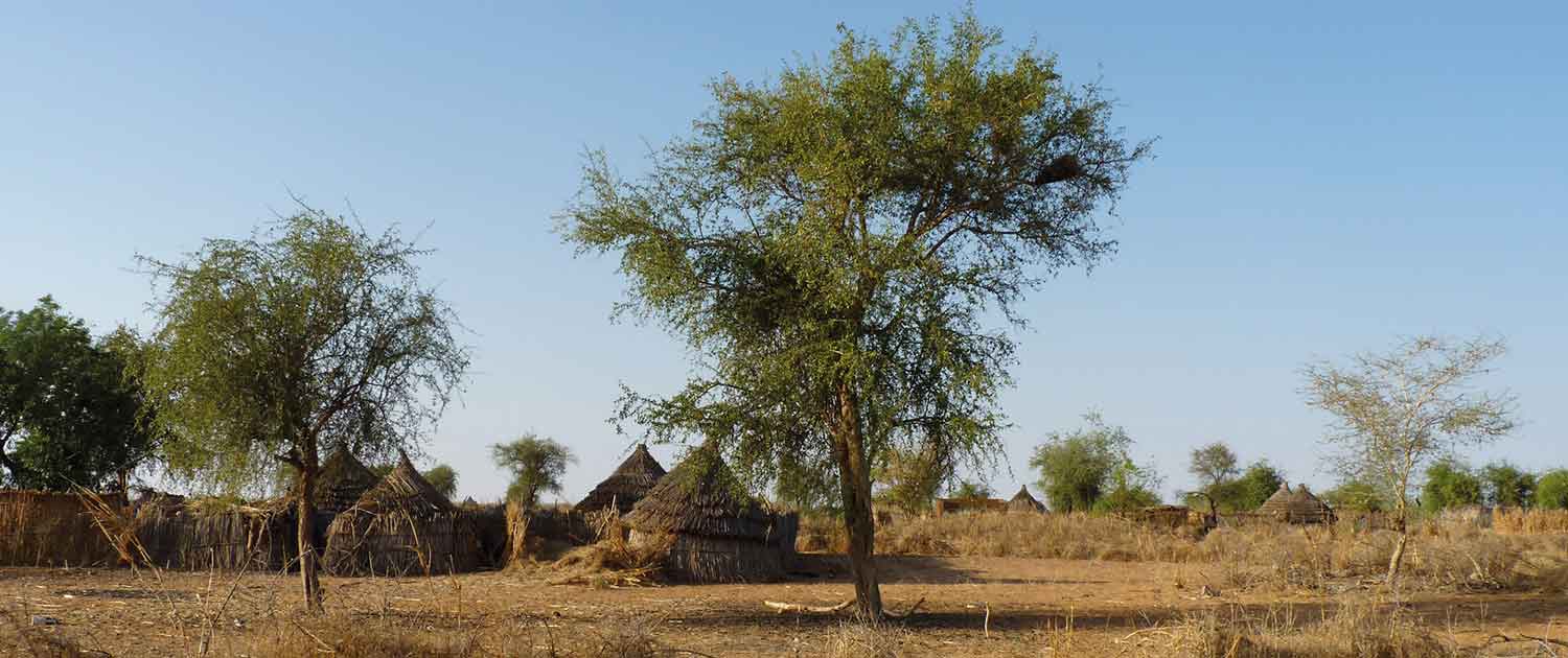 Afrikanisches Dorf in der Sahel Region