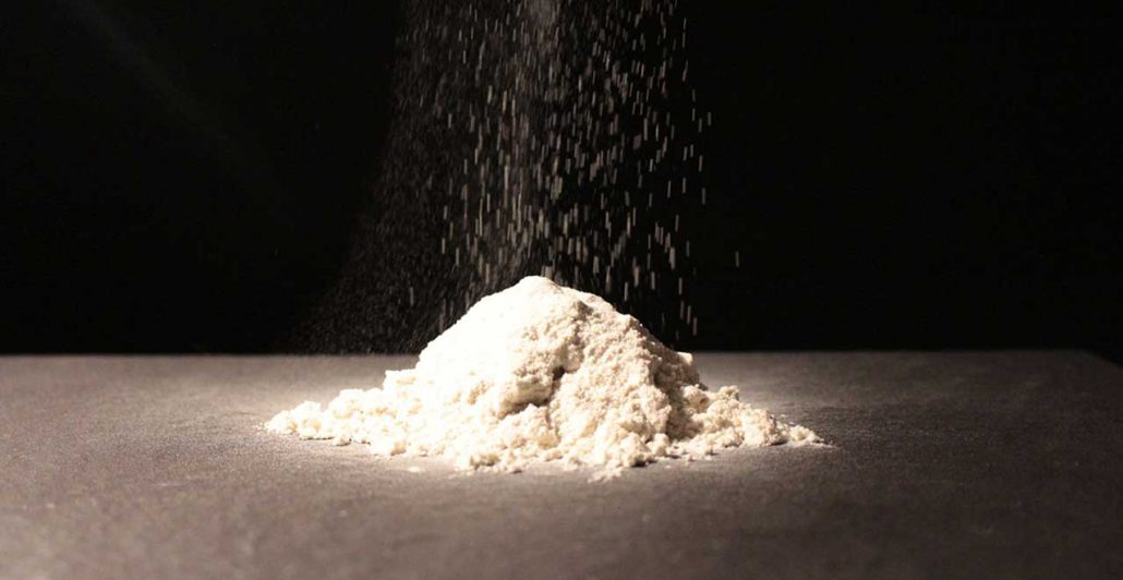 Locust bean gum powder Willy Benecke