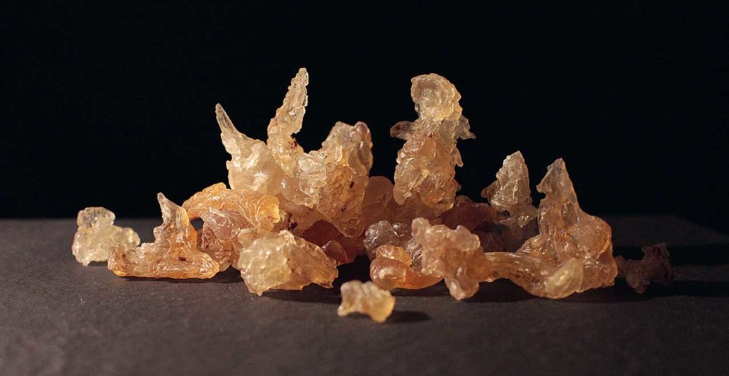 Willy Benecke Your supplier of highgrade Karaya Gum